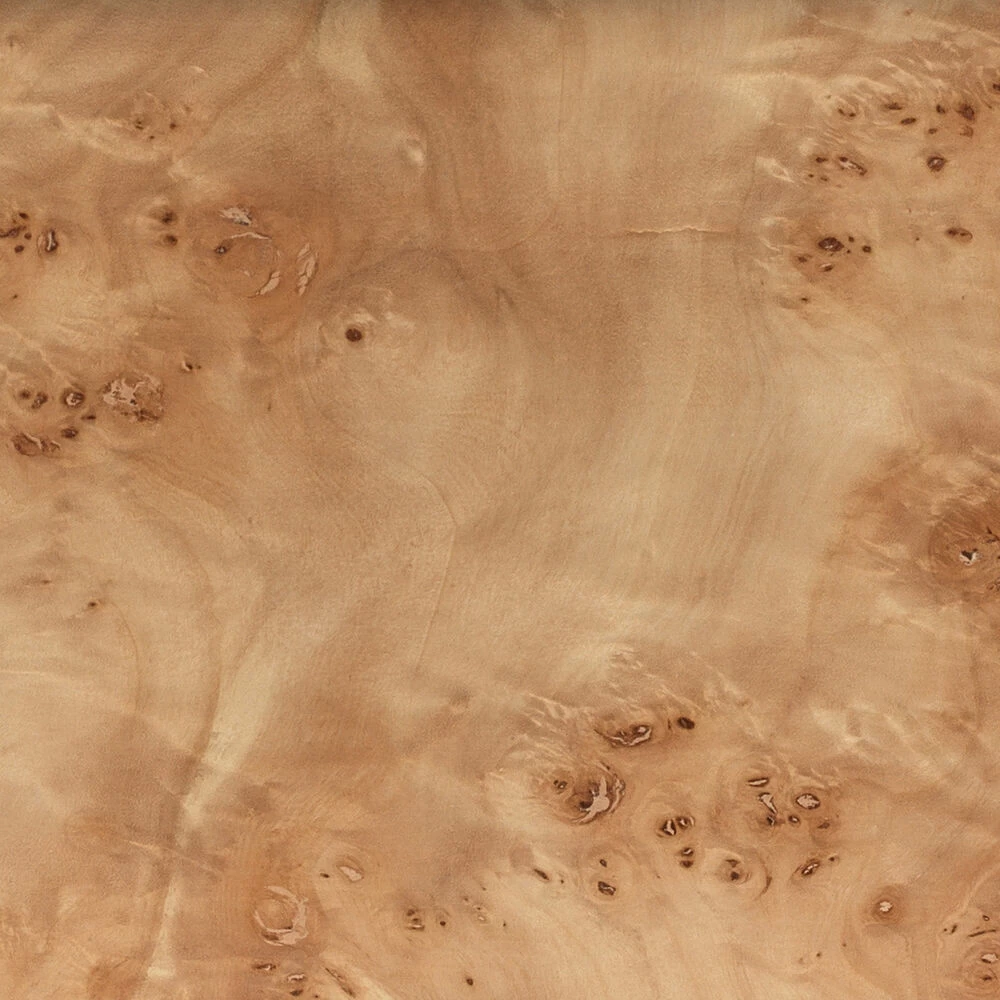 Parallel 21.75 Inch 150 Watt Natural Burl Wood Table Lamp Portable Light 3 Parallel 21.75 Inch 150 Watt Natural Burl Wood Table Lamp Portable Light - Image 3