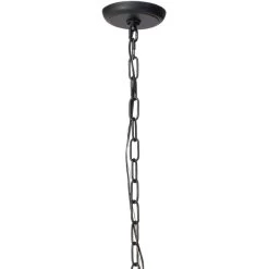 Blooming 12 Light 30 Inch Black Chandelier Ceiling Light -Jamie Young Co Shop 5bloo blck 5