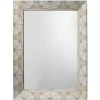 Fragment 48 X 36 Inch Light Grey & Beige Faux Horn Mirror
