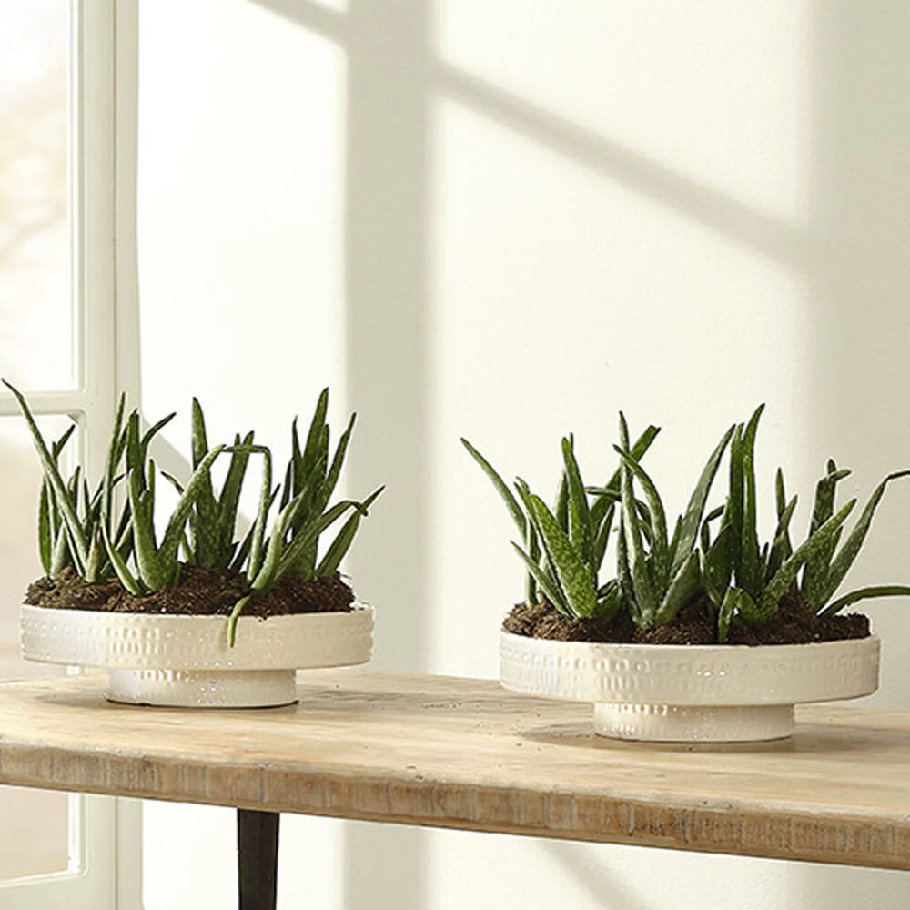 Coco 13 X 13 Inch White Ceramic Pedestal 6 Coco 13 X 13 Inch White Ceramic Pedestal - Image 6