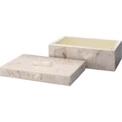 Parthenon 12 X 8 Inch Pearl Resin & Clear Mica Box -Jamie Young Co Shop 7part bxpecl 1