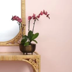 Relic 10 X 5.5 Inch Bowl, Large -Jamie Young Co Shop 7reli lgab 5