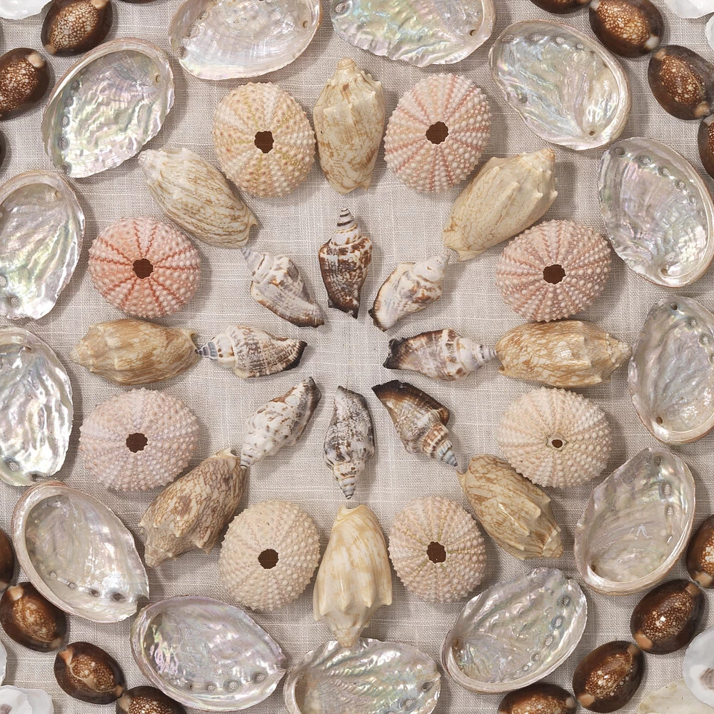 Bondi Acrylic Off White / Brown / Light Pink Shells Wall Art 4 Bondi Acrylic Off White / Brown / Light Pink Shells Wall Art - Image 4