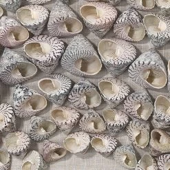 Bora Bora Off White Framed Wall Art -Jamie Young Co Shop 8bora taup 2